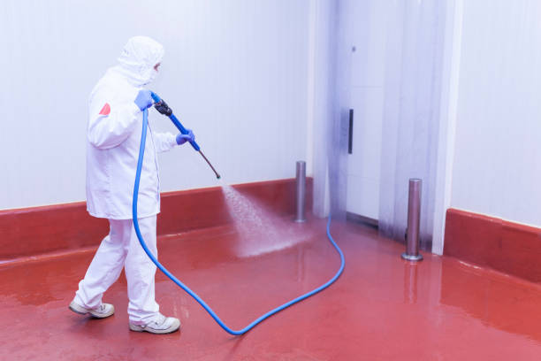 Best Oil Spill Cleanup  in Leesburg, OH
