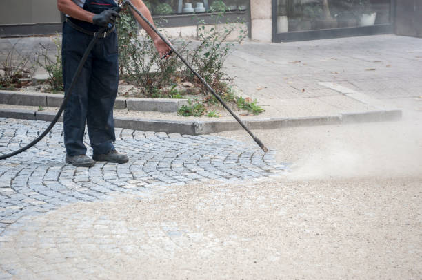 Best Dumpster Area Cleaning  in Leesburg, OH